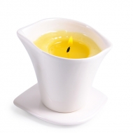 ��������� ����� ��� ���� '������' Terre d'Oc, 110 �