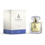   Carthusia 'Caprissimo', 50 