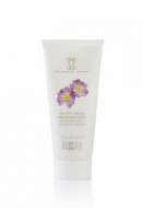 �������������� ���� ��� ��� Massada, 100 ��