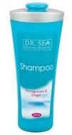          Dr.Sea, 400 