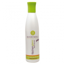 <span>    Berrywell Sleek Shampoo, 251 </span>