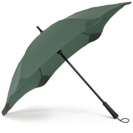 <span> Blunt Lite</span>