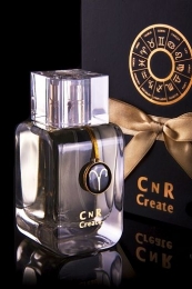 <span>    CNR Create Aries Men , 100 </span>